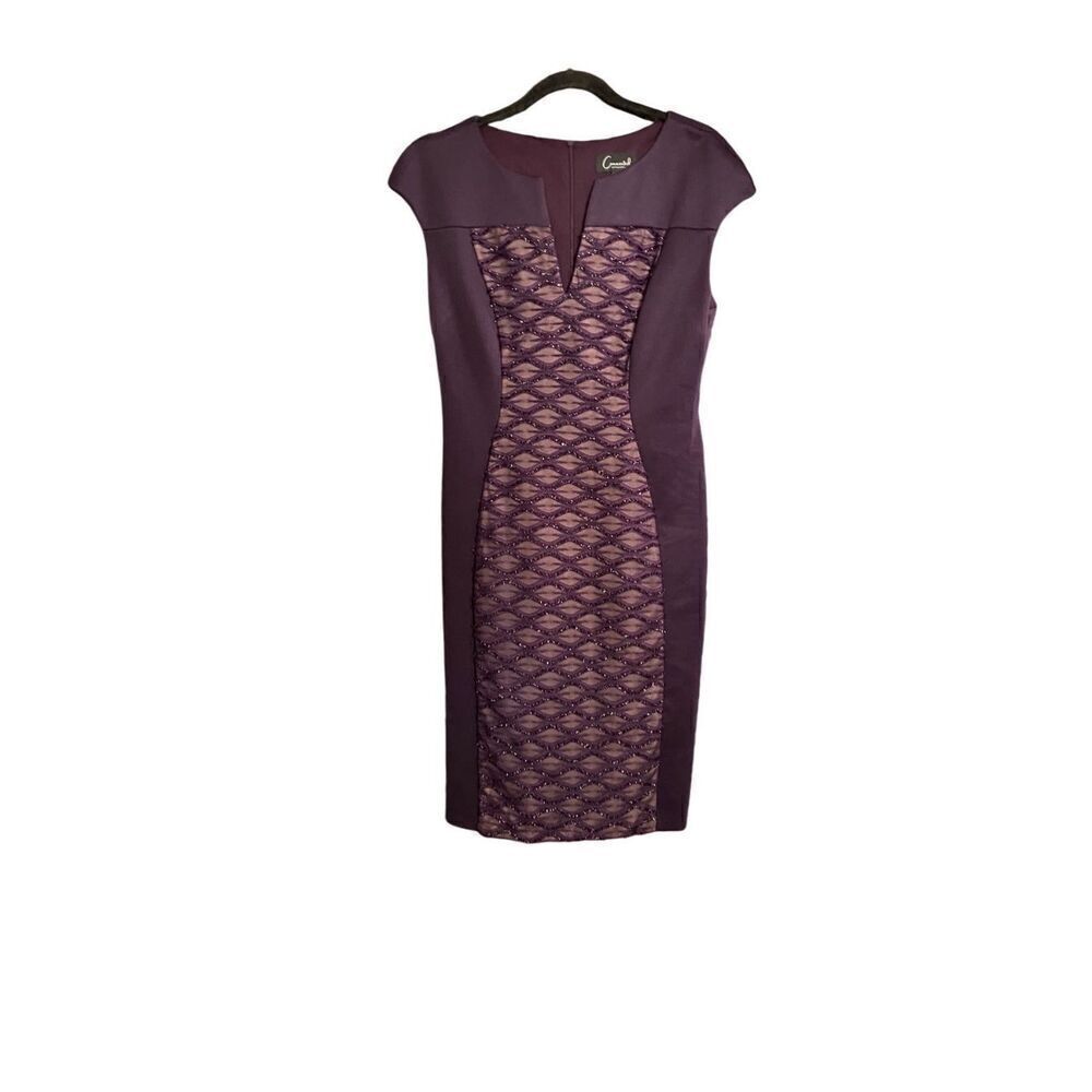 Connected apparel purple plum fitted V-neck sparkle knee length dress size 8